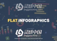 扁平化公司企业商务信息数据图表展示MG动画包AE模板 Flat Design Infographics