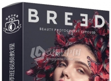 时尚美容摄影大师班视频教程 Breed Master Class - Beauty Photography EXPOSED