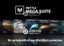 三维变形插件套装AE插件 Mettle plugins bundle CE v2018.10 Win破解版