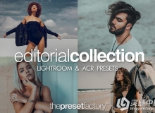 时尚摄影师胶片颗粒Lightroom预设+ ACR预设 Editorial Collection Bundle