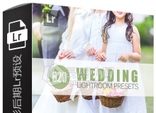 620组专业婚礼婚纱摄影后期LR预设 620 Wedding Lightroom Presets Vol2