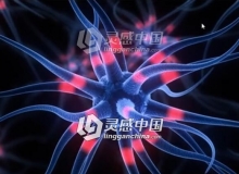 C4D大脑神经传输动画视频教程 Brain Cell Animation Cinema 4D Tutorial