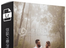 肖像和婚礼摄影师必备Lightroom预设 The Wolf Pack Lightroom Presets