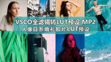 VSCO全滤镜转LUTs预设3D LUTs Mobile MP2人像日系婚礼胶片LUTs预设