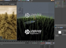 C4D octane HDRI fog中文全面讲解视频教程