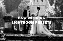 经典黑白婚礼人像lLightroom预设 Black White Wedding Lightroo Presets