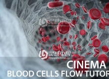 C4D血细胞流动特效动画视频教程 Blood cells flow Cinema 4D Tutorial