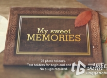 复古浪漫生活相册动画AE模板 Videohive old memories album gallery