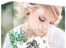 高端婚礼视频调色LUTs预设-Kreativ Wedding LUTs Vol1 (Win/Mac)