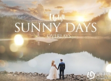 70太阳光斑PS动作+高清纹理 Sunny Days Sun Flare Overlays