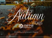 20组秋天照片增强Lightroom预设 Autumn Vibes - Lightroom Presets