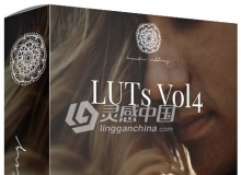 高端婚礼视频调色LUTs预设-Kreativ Wedding LUTs Vol4 (Win/Mac)