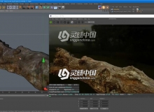 C4D中文视频教程Octane Render配合Megascan渲染真实的梦幻森林场景（上）