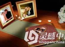 唯美婚礼书籍相册动画AE模板 BLUEFX Vintage Wedding