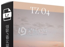 万能经典活力的色调胶片感Lightroom预设 Tezza TZ 04