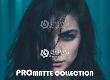 60组人像磨砂哑光Lightroom预设 Matte Lightroom Presets