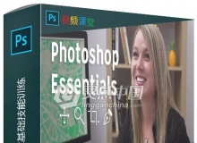 Photoshop设计艺术基础技能训练视频教程