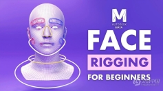 Maya面部绑定装配基础核心技术视频教程 FlippedNormals – Face Rigging For Beginners