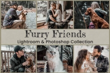 萌宠宠物摄影后期胶片风格Lightroom预设与APP滤镜 Furry Friends Collection