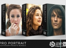 专业肖像Lightroom预设合集 Pro Portrait Lightroom Preset Bundle