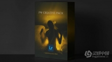 俄罗斯INS博主Polina Washington迷幻光影人像色彩校正LR预设 PW CREATIVE PACK