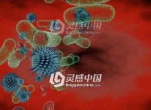 C4D显微镜下观察微生物活动视频教程 Virus y bacterias al microscopio C4D Tutorial