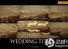 温馨美丽的婚礼标题动画AE模板 Videohive Wedding Titles