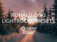 马来西亚摄影师Ronald Ong柔和温暖色调Lr预设 Ronald Ong Lightroom Presets