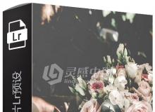 80组电影胶片Lightroom预设 80 Film Lightroom Presets