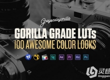 100种3D LUTs专业电影调色预设文件 GSG Grade LUTs 附教程