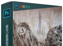 Photoshop 2020基础技能核心训练视频教程