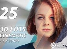 25 3D LUTS组电影胶片预设 3d Luts - Cinematic Film Looks