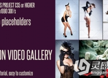 时尚视觉分割包装动画AE模板 Videohive Fashion Video Gallery