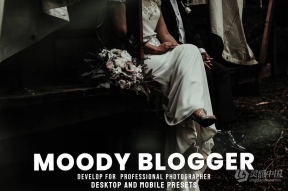 旅行情绪电影色调调色lr预设 Moody Blogger – Desktop and Mobile Presets