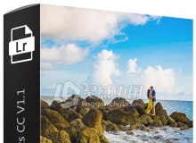 SLR-Lounge - Lightroom Presets CC预设系统 v1.1