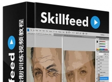 PS数字油画绘制训练视频教程Skillfeed Introduction to Digital Painting with Pho...