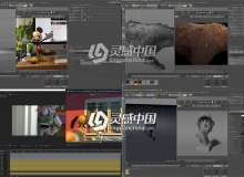 C4D Arnold 5渲染器介绍与基础工作流程中文视频教程