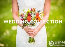 25组婚礼婚纱Lightroom预设合集 Wedding Collection Lightroom Presets