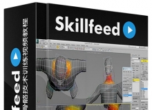 3dsMax人物角色骨骼技术训练视频教程Skillfeed Character Rigging with 3ds Max