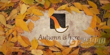秋天地面叶子吹散展示石头上的LOGO动画视频片头 AE模板 AE工程文件 The Autumn Stone Logo