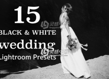 15组黑白婚纱摄影 Lightroom预设 15 BW WEDDING Lightroom Presets