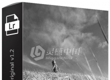 Mastin-Labs Ilford Original v1.2 依尔福黑白胶卷Lightroom预设/ACR预设