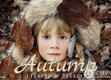 50组秋季摄影后期Lightroom预设 50 Autumn Lightroom Presets