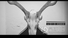 怀旧复古风独特故障过渡图文宣传视频相册 AE模板 AE工程文件 Retro l Strange Slideshow