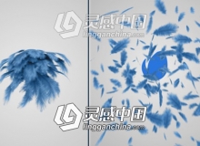 羽毛爆炸纷飞LOGO标志展示片头AE模板 Videohive Feathers Logo Reveal