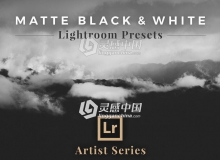 16组老式磨砂黑白风景LR预设 Matte Black &White Lightroom Presets