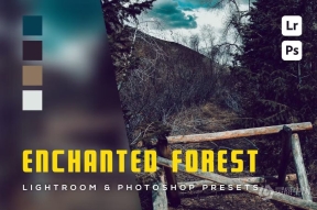 6电影风光后期调色LR预设 6 Enchanted Forest Lightroom and Photoshop Presets