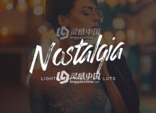 30复古电影胶片Lightroom预设+3D LUTs预设 30 Nostalgia Lightroom Presets