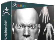 ZBrush人体头部手足身体解剖训练视频教程