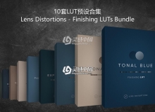 Lens Distortions -10套LUT预设合集-Finishing LUT Bundle